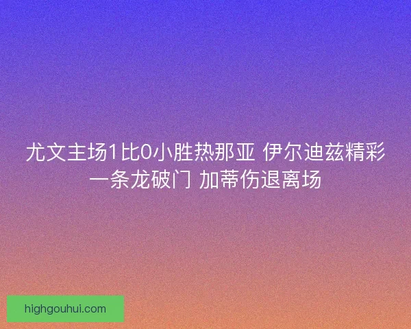 尤文主场1比0小胜热那亚 伊尔迪兹精彩一条龙破门 加蒂伤退离场