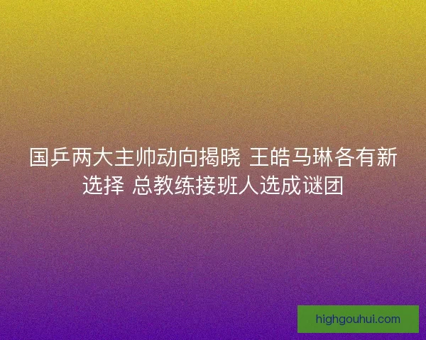 国乒两大主帅动向揭晓 王皓马琳各有新选择 总教练接班人选成谜团